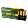 Close up of the 165gr on the 20 Rounds of 165gr PSP 30-06 Springfield Ammo by Remington