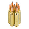 View of Armscor .223 ammo rounds