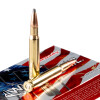 View of Hornady 30-06 Springfield ammo rounds
