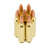View of Armscor .223 ammo rounds