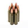 Image of 20 Rounds of 62gr HP .223 Ammo by Brown Bear