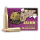 20 Rounds of 62gr HP .223 Ammo by Golden Bear