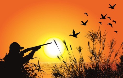 Duck hunter using shotgun ammunition to hunt in a field.